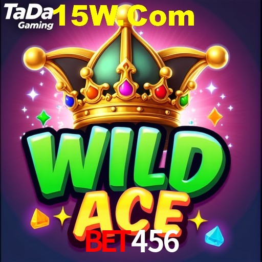 Bet456 App Interface